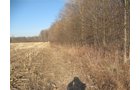 Property photo 27 - 44 Acres Offered in 3 Tracts